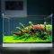 加宽超白玻璃鱼缸客厅小型生态水族箱水缸中型桌面金鱼缸 默认尺寸 金晶超白玻璃HEK-600+灯+过滤器