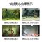 鱼缸过滤器过滤棉污力丸净化水质蛋白棉净水剂去污丸除水臭_2 默认尺寸 森森去污灵1000ML
