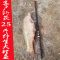 【优先发货】日本原装进口碳素达瓦鱼竿手竿台钓杆超轻硬28调3.6米5.4钓鱼竿 默认尺寸 日本原产3.6米