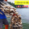 【优先发货】细丝餐鱼网粘网沉网浮网白条1指小鱼网1米高6分7分8分9分三层渔网_743 三层沉网1.3米高6分眼50米长