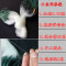 【优先发货】抓小白条鱼网粘网单层沉网浮网细丝6分7分1指1.5指丝网渔网 单层1.2米7分眼50米沉网