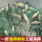 【优先发货】鱼网粘网三层渔网丝网挂网拦河工具渔具沾网粘鱼网网鱼网 6米6指100米三层沉网