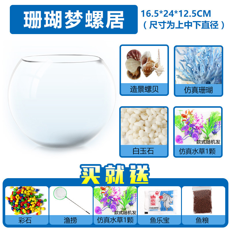 圆形鱼缸玻璃小号金鱼缸迷你圆形创意水族箱生态桌面绿植水培缸_1 默认尺寸 大号套餐A