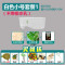 塑料乌龟缸带晒台别墅大号龟盆排水口养大乌龟专用缸水陆缸 默认尺寸 白色小号缸套一
