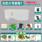 塑料乌龟缸带晒台别墅大号龟盆排水口养大乌龟专用缸水陆缸 默认尺寸 白色大号缸套二