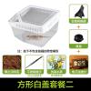 小号饲养箱塑料透明蝎子守宫蜥蜴养殖箱陆龟昆虫鸣虫饲养盒_1_223 默认尺寸 方形白盖套餐二
