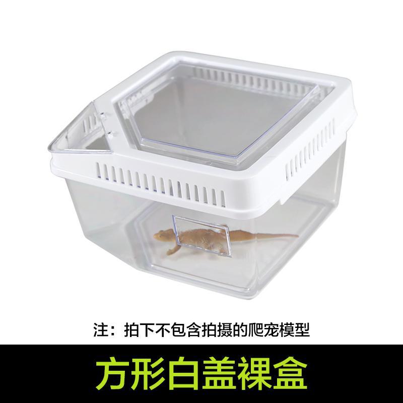小号饲养箱塑料透明蝎子守宫蜥蜴养殖箱陆龟昆虫鸣虫饲养盒_1_223 默认尺寸 方形白盖裸盒