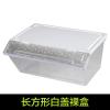 小号饲养箱塑料透明蝎子守宫蜥蜴养殖箱陆龟昆虫鸣虫饲养盒_1_223 默认尺寸 长方形白盖裸盒