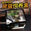 小号饲养箱塑料透明蝎子守宫蜥蜴养殖箱陆龟昆虫鸣虫饲养盒_1_223 默认尺寸 方形黑盖套餐一