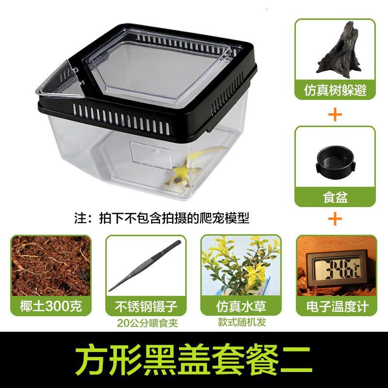 小号饲养箱塑料透明蝎子守宫蜥蜴养殖箱陆龟昆虫鸣虫饲养盒_1_223 默认尺寸 方形黑盖套餐二