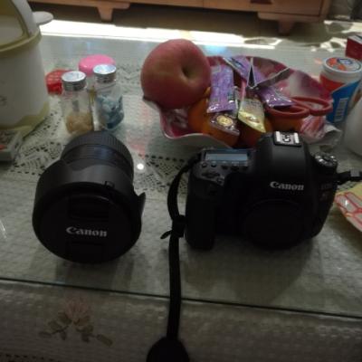 佳能（Canon）EOS 6D2（24-105 USM）全画幅数码相机专业单反单镜头套装机有效像素约2620万晒单图