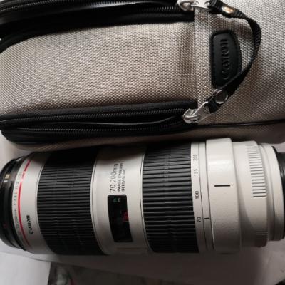 佳能(Canon) EF 70-200mm f/2.8L IS III USM新一代大三元远摄变焦镜头晒单图