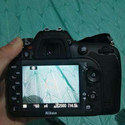 尼康(Nikon) D7200（18-140mm）中高级数码单反单镜头套机 约2416万有效像素 传感器CMOS晒单图