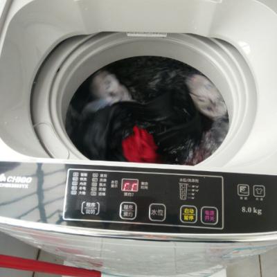 志高(CHIGO) 8公斤全自动波轮洗衣机 家用 24H预约 一键洗脱晒单图