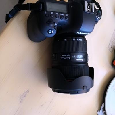 佳能（Canon） EF 24-70mm f/2.8L II USM 标准变焦镜头大三元 82mm滤镜佳能卡口 远摄变焦晒单图