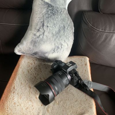 佳能（Canon）EOSR（ RF24-105mm F4 L IS USM）全画幅专业微单单镜头套装 约3030万像素晒单图
