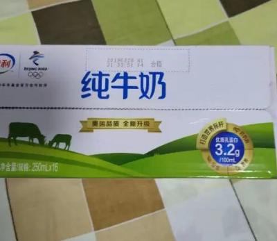 伊利 纯牛奶 礼盒装 250ml*16盒（新老包装随机发货）晒单图