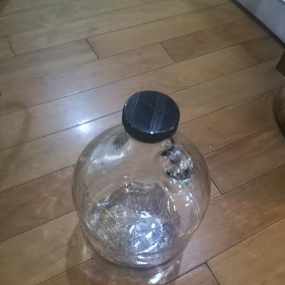 泡酒玻璃瓶子专用酒瓶酿酒酒罐子5 10斤果酒杨梅青梅酒密封罐带盖 封后 10斤加州红酒瓶晒单图