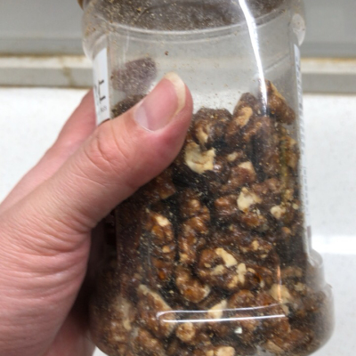 五个农民琥珀核桃仁蜂蜜味500g罐装无壳即食坚果 休闲零食晒单图