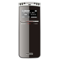 爱国者（aigo）录音笔R5530 2100H(黑)