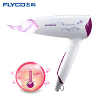 飞科(FLYCO)FH6257可折叠电吹风机 1200W