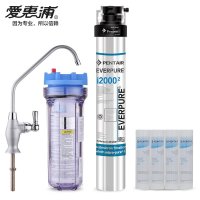 爱惠浦(EVERPURE)i2000(2)净水器净水机