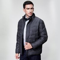 鸭鸭 薄款羽绒服短款男士轻薄羽绒服正品男装修身商务潮A-293 深灰 170/88A