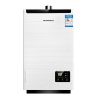 前锋(CHIFFO）JSQ20-DSH386 智能 恒温 强排式天燃气热水器 10L