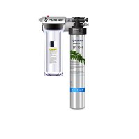 滨特尔爱惠浦净水器 EF-900P 家用直饮净水机