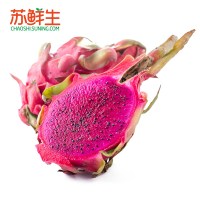 【苏鲜生】越南红心火龙果2.5kg(大果)约450g/个