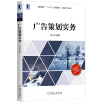广告策划实务