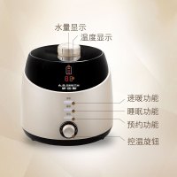 A.O.史密斯 恒温热水床垫 HWM-15B 1.5X2m 新款上市双人单人 水暖毯电热毯