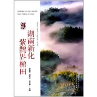 湖南新化紫鹊界梯田