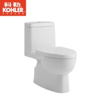科勒KOHLER马桶 瑞雅五级旋风 一体全包式马桶 节水裙包型 K-19111T/19112T 智能盖板4737套装 包送货安装赠马桶安装三件套 305MM坑距