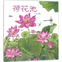 荷花池