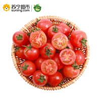 展卉 国产山东圣女果 小西红柿 番茄 约1kg 新鲜水果