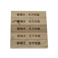 诚信东方WSD201857 天然香樟木条 档案用品专用 除味除臭 防霉防虫 带磁铁可吸附 办公用品 5包装（每包5根）