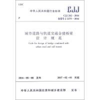 城市道路与轨道交通合建桥梁设计规范