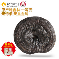通惠 东北一等灵芝120g/盒