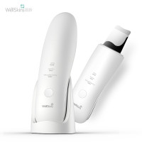 薇新(WellSkins)超声波清洁美容仪 WX-CJ101