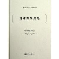 番茄野生资源