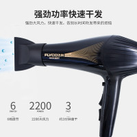飞科（FLYCO）电吹风2200W RH6101