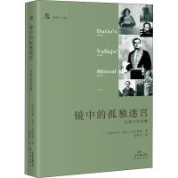 镜中的孤独迷宫 拉美文学选集