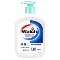 健康抑菌洗手液 ZY B2B商品 100份起订 白色
