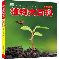 小眼睛看世界植物大百科