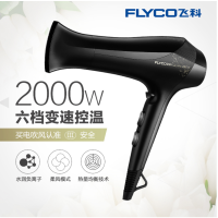 飞科(FLYCO)FH6266 电吹风 FH6266 健康柔风护发