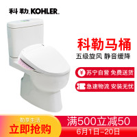 科勒智马桶瑞琦五级旋风绿能分体坐便器静音缓降抽水马桶19114配玫瑰金智能盖板77284套装 安装需要购买安装配件 305MM