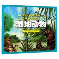 湿地动物/让孩子着迷的第一堂自然课