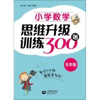 小学数学思维升级训练300题 5年级
