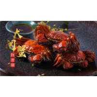 名蟹汇 大闸蟹 精装E款 公蟹：4.1两/4只、母蟹：2.8两/4只
